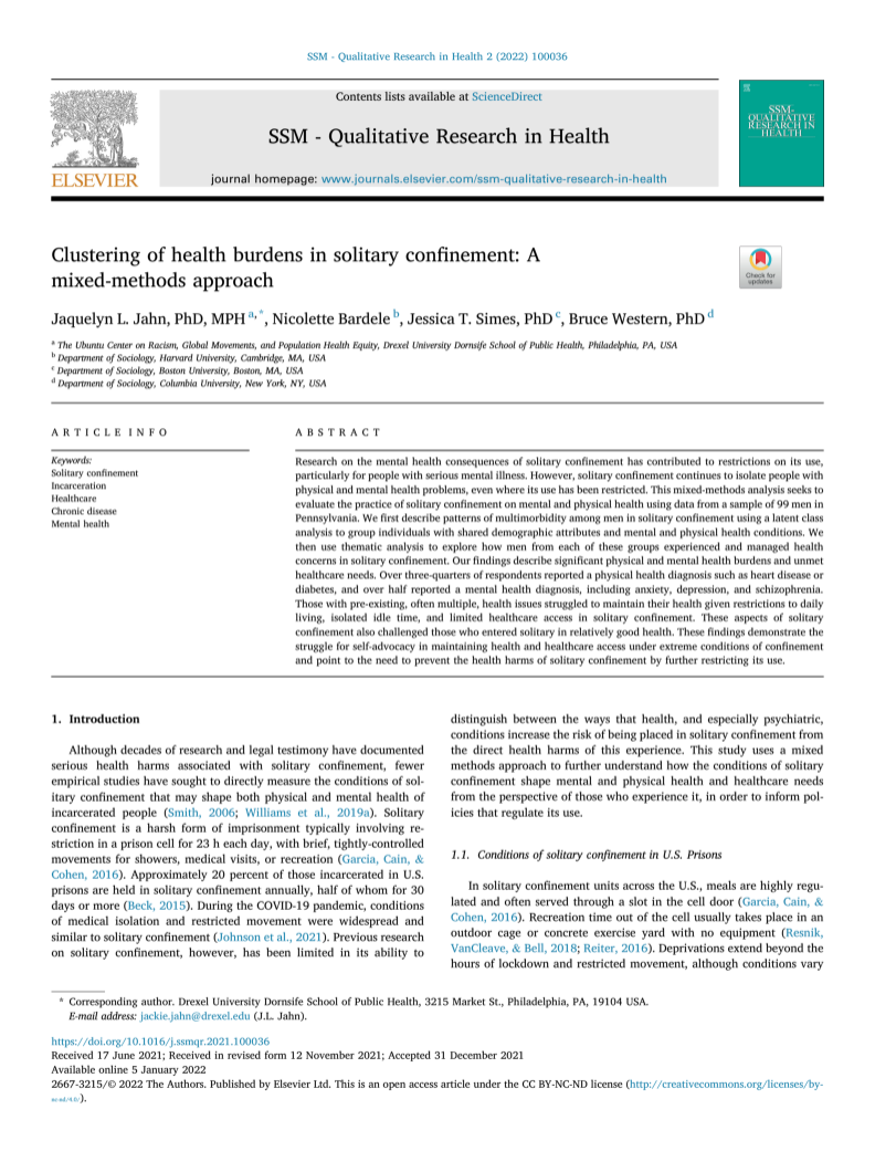 Clustering of health burdens in solitary confinement: A mixed-methods approach (cover image)