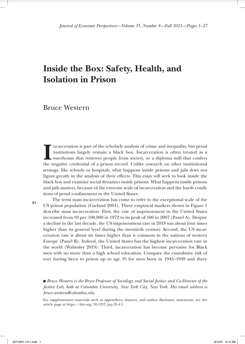 Inside the box: Safety, health, and isolation in prison (cover image)