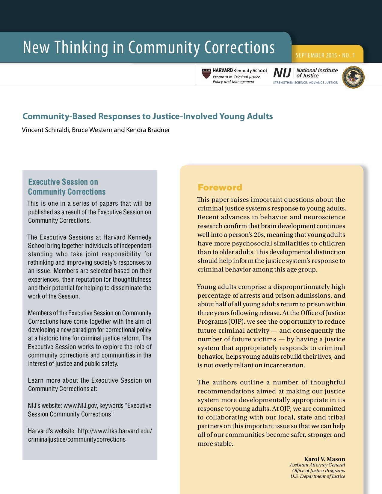 Community-Based Responses to Justice-Involved Young Adults