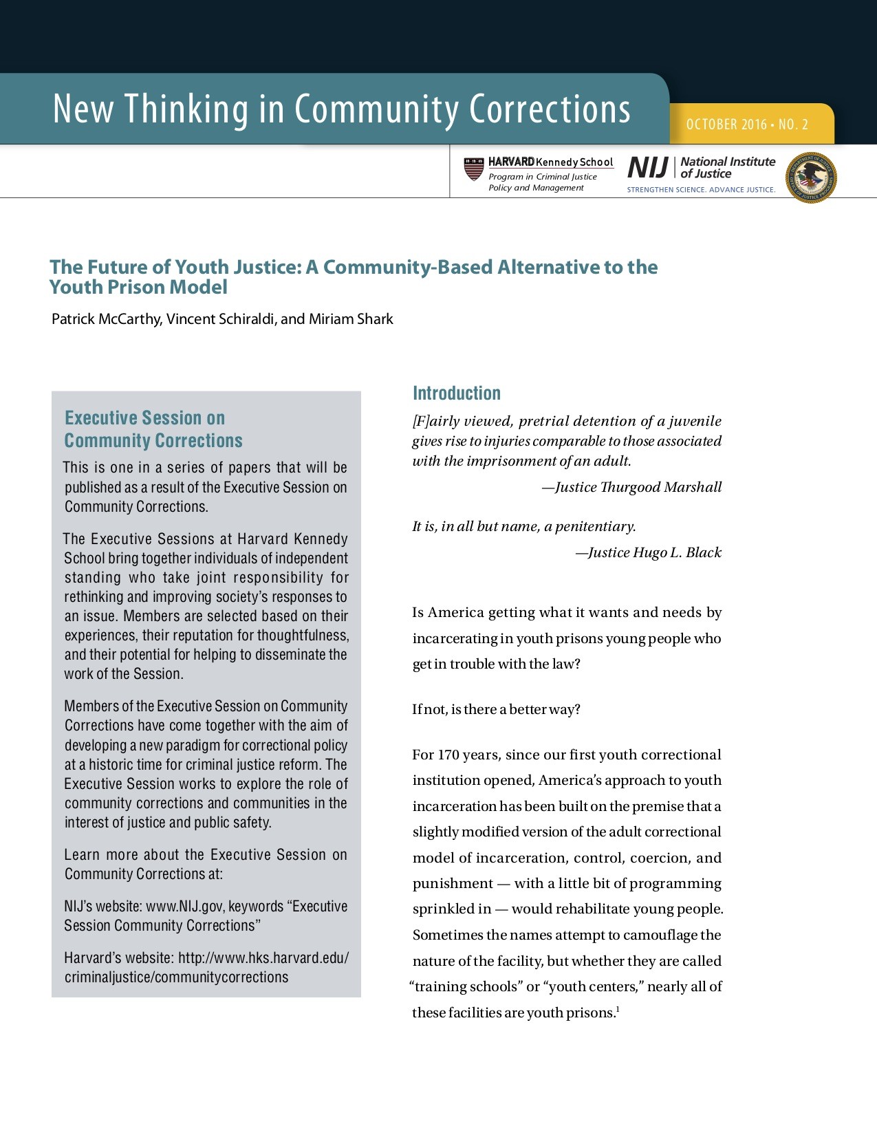 The Future of Youth Justice: A Community Based Alternative to the Youth Prison Model