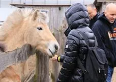 Delegation member interacting with the animals